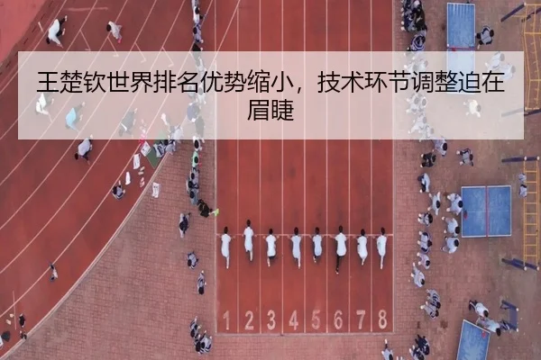 王楚钦世界排名优势缩小，技术环节调整迫在眉睫